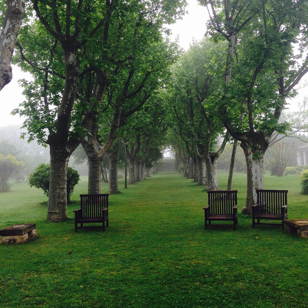 View from the terrace of the avenue of Plane trees